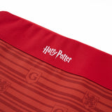 Adventure Harry Potter Collection Laptop Sleeve Ashley