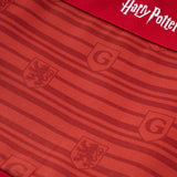 Adventure Harry Potter Collection Laptop Sleeve Ashley
